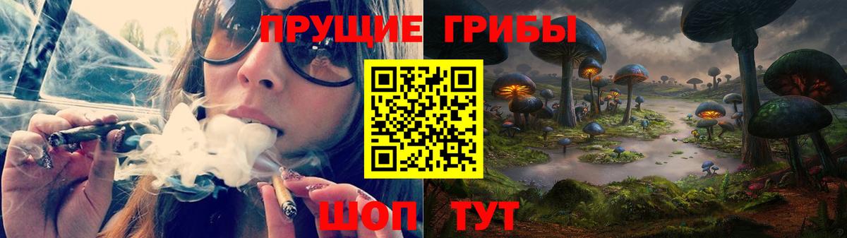 Галлюциногенные грибы Cubensis Бор